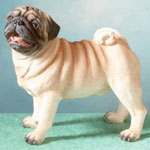 Pug Figurine - Domestic Dog