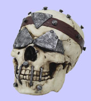 Skull with Metal Plates