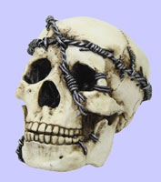 Skull with Chains