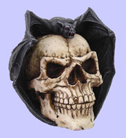 Skull with Bat