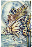 Jody Bergsma Prints Chrysalis