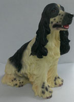 English Springer Spaniel Dog