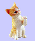 Yellow Tabby Cat