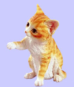 Yellow Tabby Cat