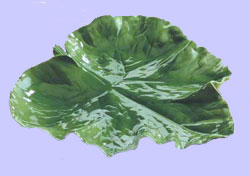 Pumpkin Leaf Serving Platter