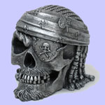 Pirate Skull Container