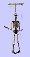 Skeleton Puppet