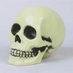 Glow In The Dark Skull
