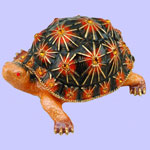 Tortoise Jeweled Box