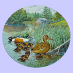 Living With Nature:  Jerner's Ducks - Bart Jerner