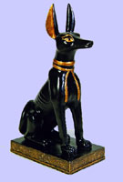 Sm. Anubis Sitting