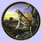 Wildlife Art Plates